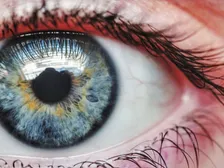 Diagram of the cornea and surrounding limbus region of the eye
