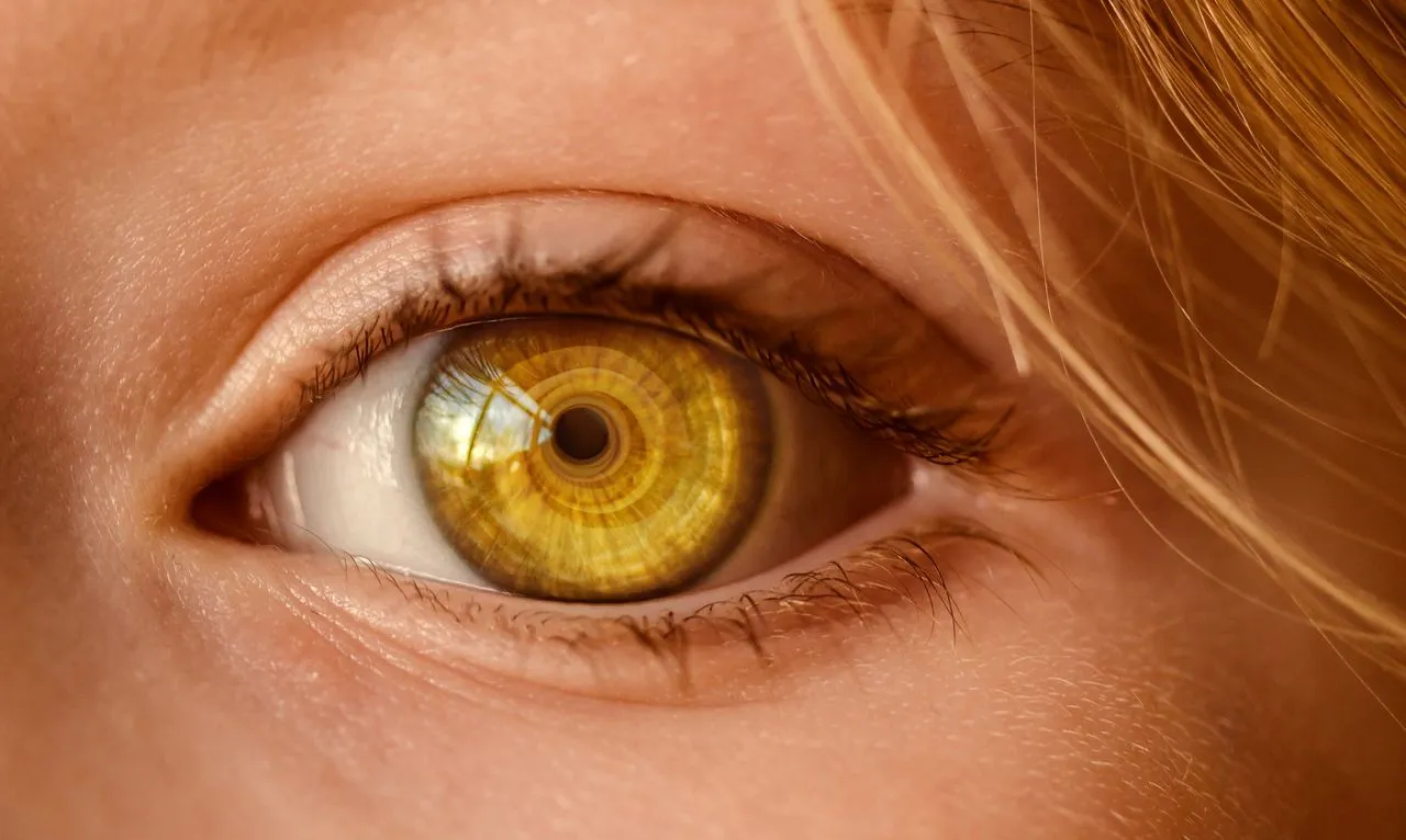 Amniotic membrane graft placed over a damaged ocular surface